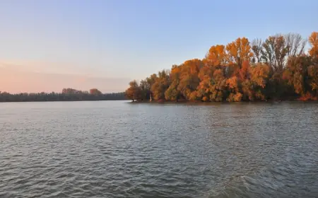 Метаморфозы островов дельты Дуная