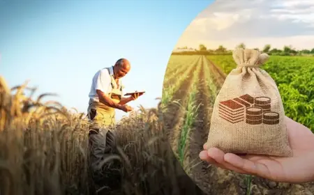 ДАР оновив механізми подання заявок на державну підтримку