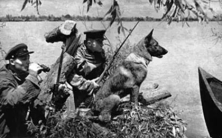 С Родиной в сердце ч.2