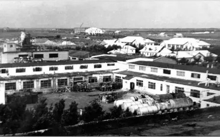 Тризна* по консервному