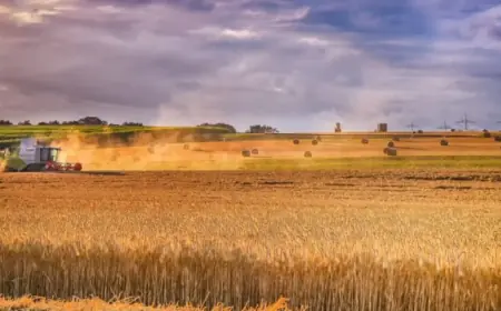 Італія запустила програму підтримки фермерів Одещини
