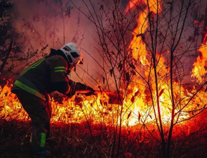 У Вилківській громаді зафіксовано загоряння очерету