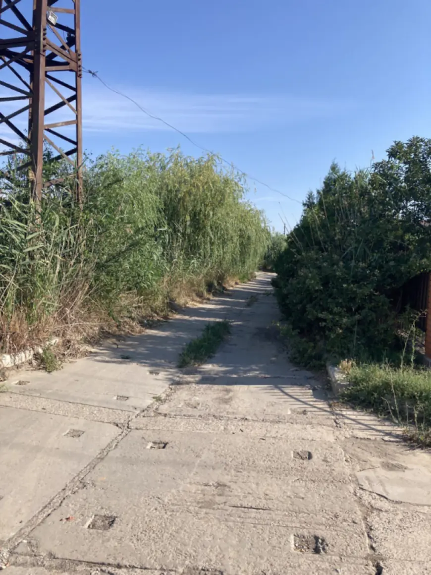 "…Что в имени твоём, что имя значит?"