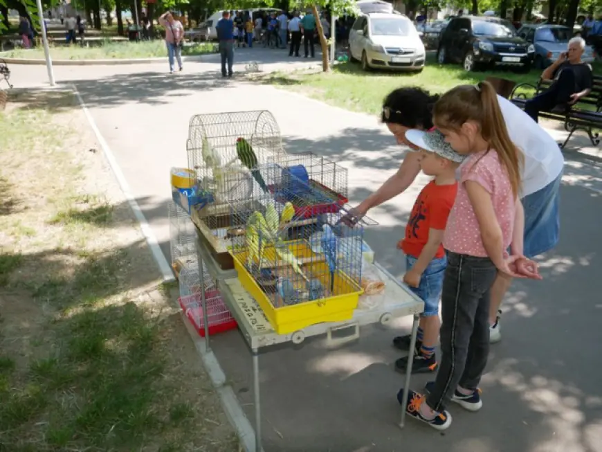 Домашние пернатые и с ними красавицы-нутрии: все в гости были к нам!