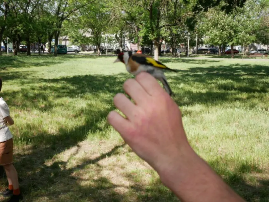 Домашние пернатые и с ними красавицы-нутрии: все в гости были к нам!