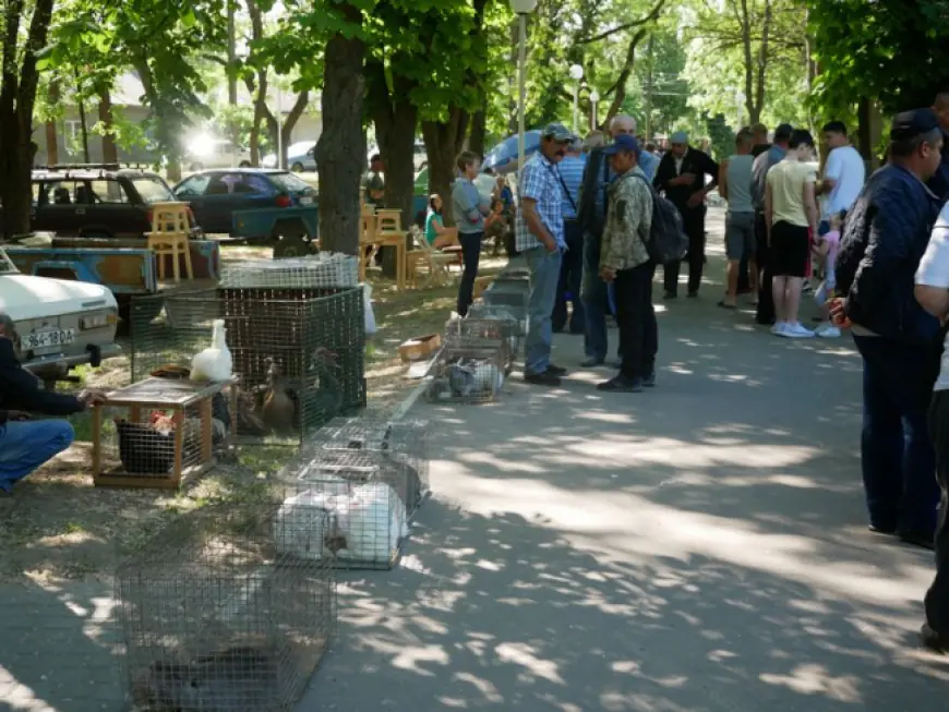 Домашние пернатые и с ними красавицы-нутрии: все в гости были к нам!