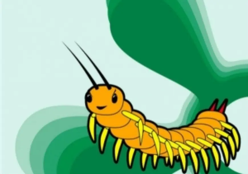 <br /> У&nbsp;сороконожки появились крошки&hellip;