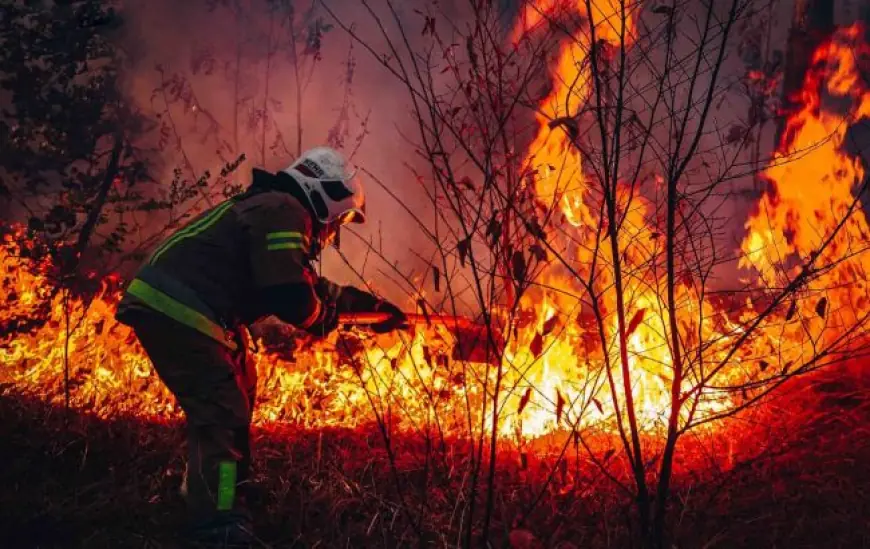 У Вилківській громаді зафіксовано загоряння очерету