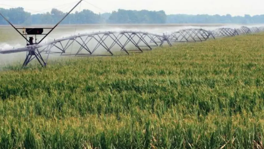 Аграрний сектор торік отримав 34 млн грн держпідтримки на розвиток зрошення