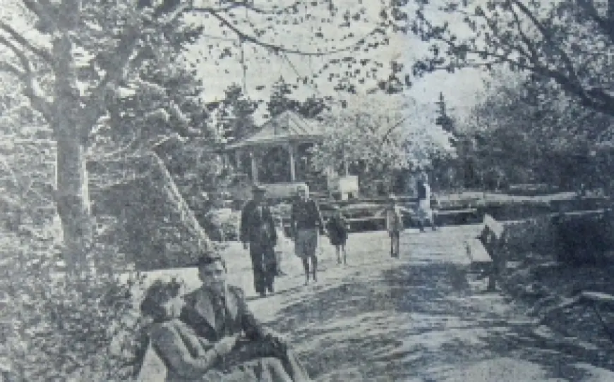 Из истории Городского сада