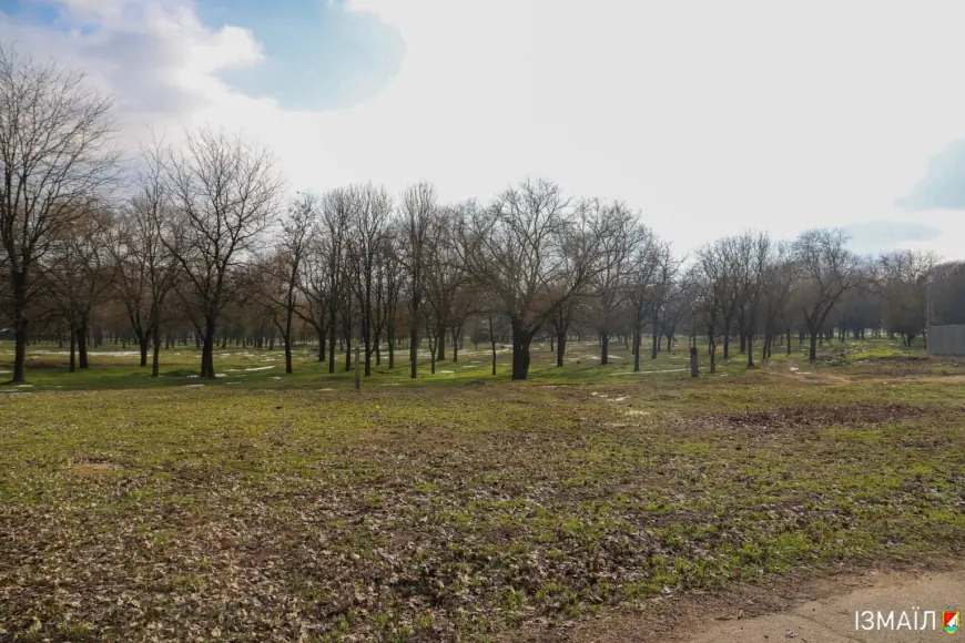 "Выставочное" дело