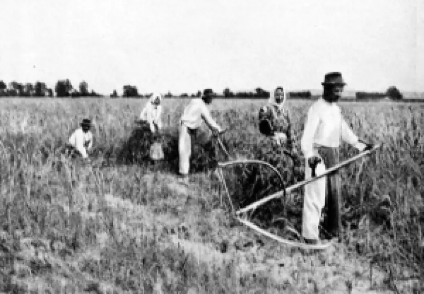 Спекуляция землёй