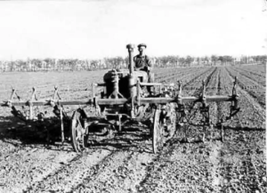 Засушливое лето 1945