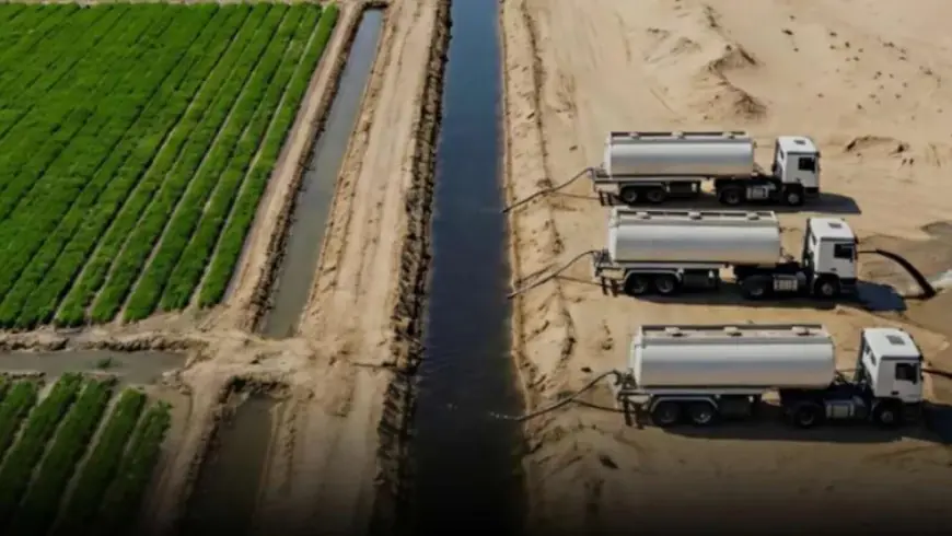 В ОАЕ протестували норвезьку технологію перетворення пустелі на фермерські угіддя