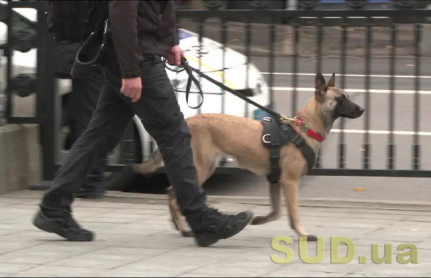 Рада уточнила правила: тварин можна тримати на прив’язі не більше 12 годин — далі обов’язковий вигул