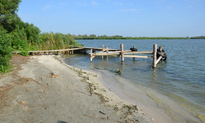 Крилата "візитка" Придунав'я: вишукані пернаті Дунайського біосферного заповідника