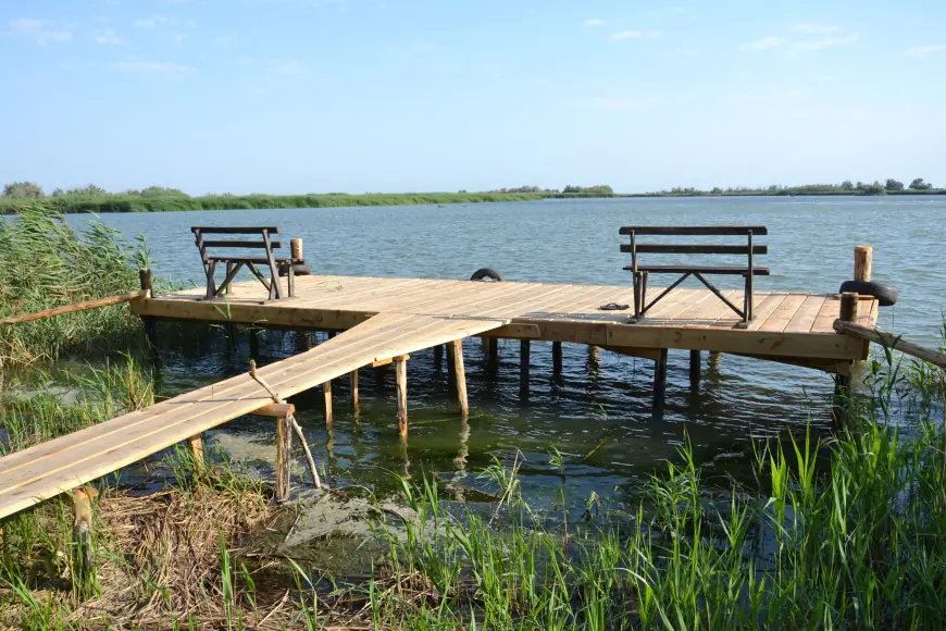 Крилата "візитка" Придунав'я: вишукані пернаті Дунайського біосферного заповідника