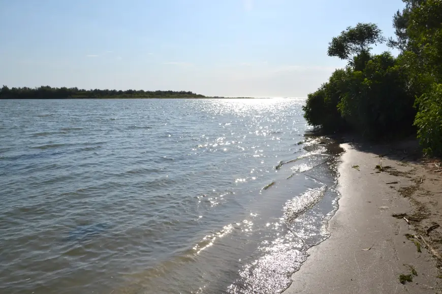 Крилата "візитка" Придунав'я: вишукані пернаті Дунайського біосферного заповідника