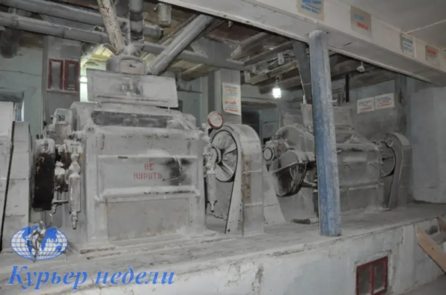 Старинная мельница в Меняйловке как добрая память о бессарабских немцах-колонистах