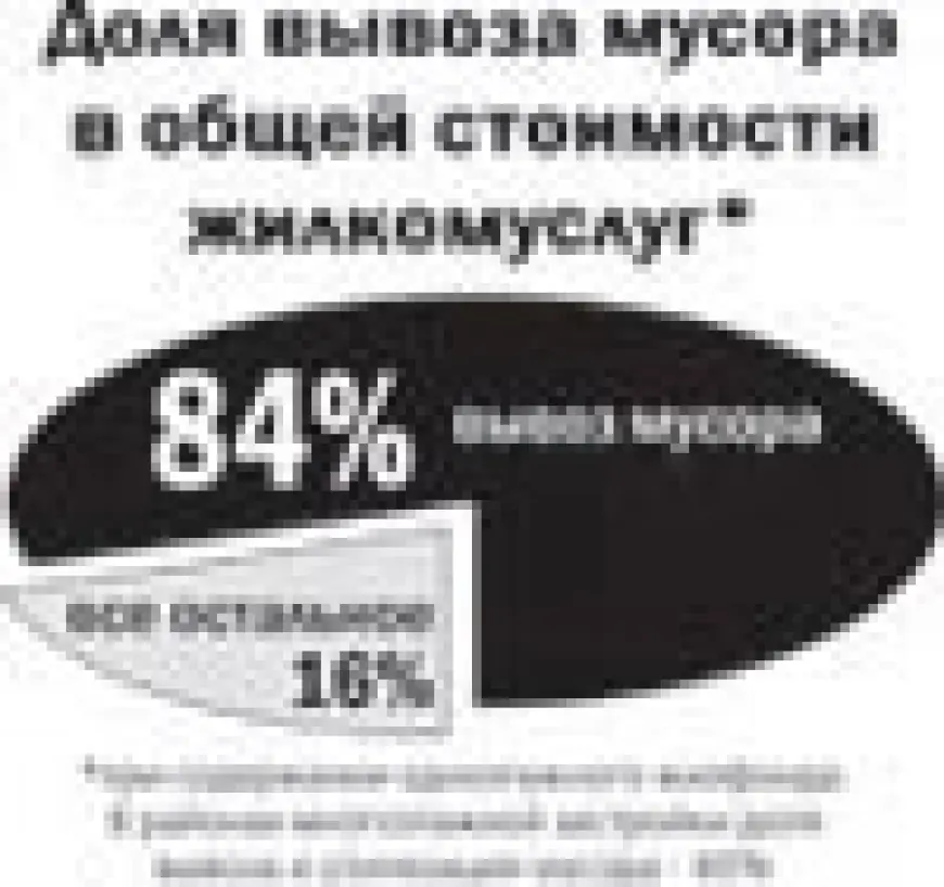 Когда же будут поставлены точки над i в вопросе Лебяжьего озера?..