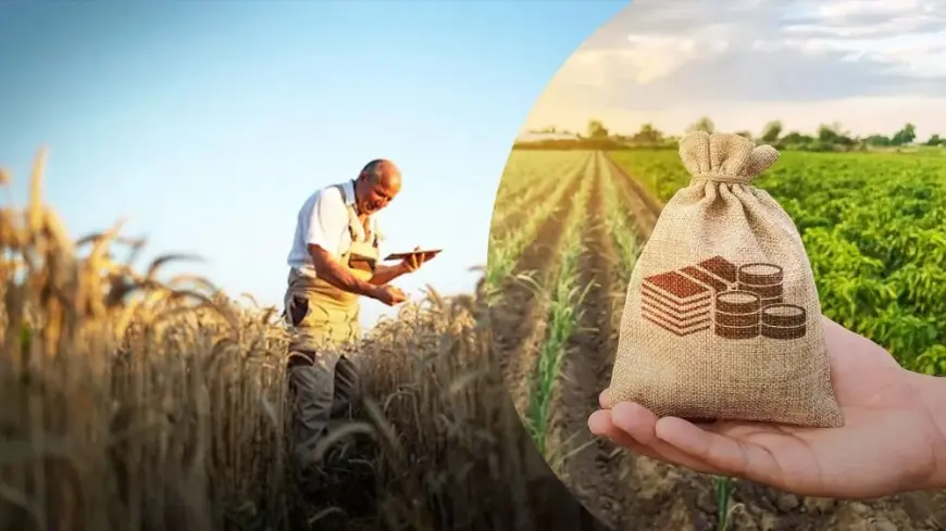 ДАР оновив механізми подання заявок на державну підтримку