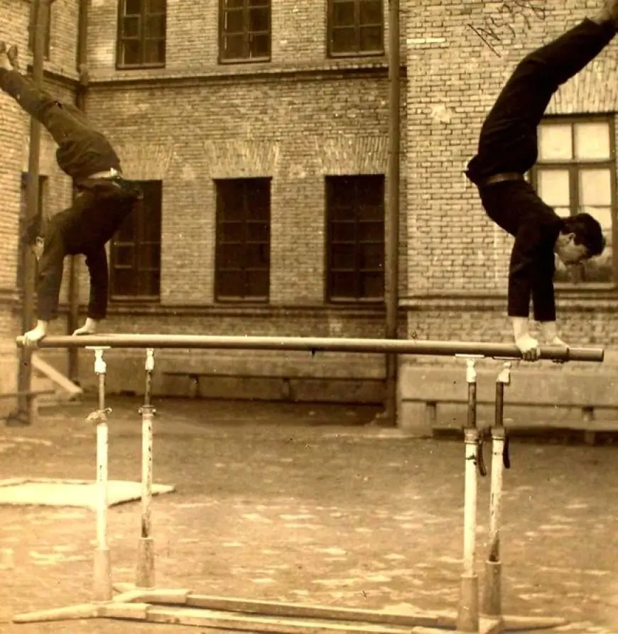 О чём поведал старый справочник