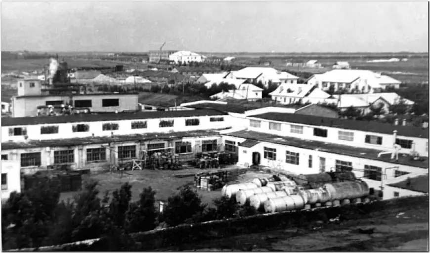 Тризна* по консервному