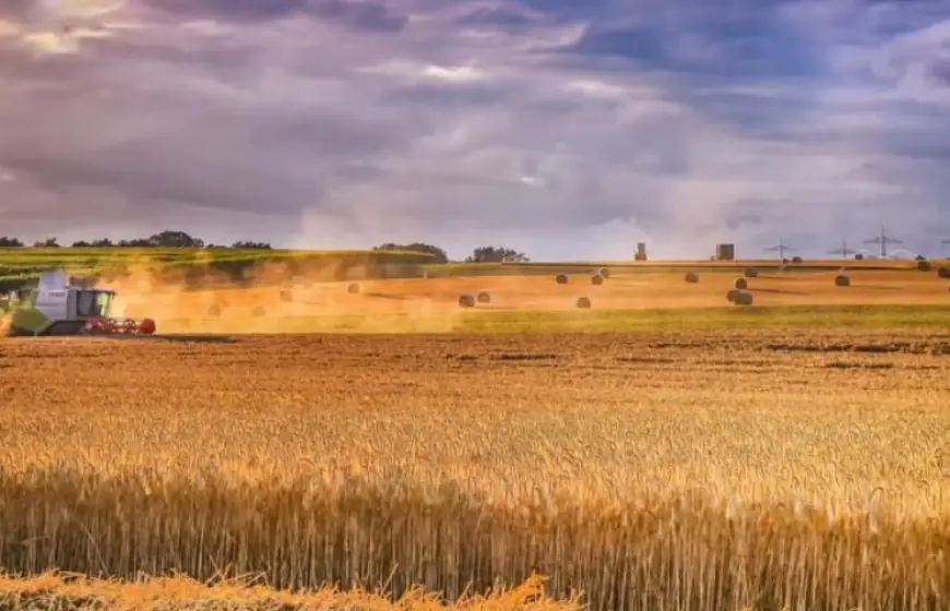 Італія запустила програму підтримки фермерів Одещини