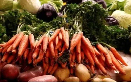 Інститут НААН запропонував модель регіональної спеціалізації овочівництва