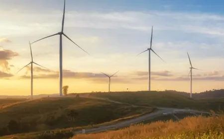 Неподалік Кілії зведуть вітропарк