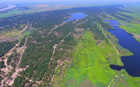 Триває відновлення природного балансу у дельті Дунаю