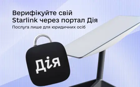 Whitelist для Starlink на порталі "Дія"