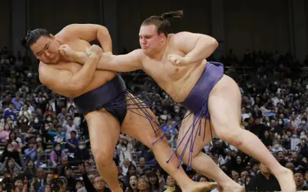 На кого рівнятися українцю Аонішікі: європейці, які завоювали світ сумо