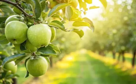 Українські садівники відмовляються від грантів