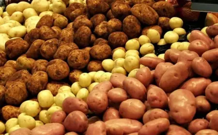 В Україні стартував прийом заявок на агрогранти-2026