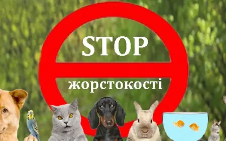 Жорстоке поводження з тваринами — злочин: яка відповідальність передбачена законом