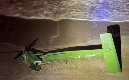 На румунському узбережжі виявили уламки дрона