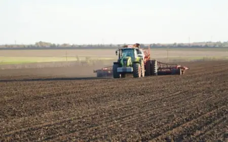 Дрібні фермери можуть отримати гранти у 100 тисяч грн завдяки проєкту SEED
