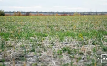 Фахівці напрацьовують зміни для врегулювання проблем викуп земель постійного користування