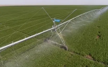 На Одещині стартує проєкт модернізації зрошення для підвищення врожайності аграріїв