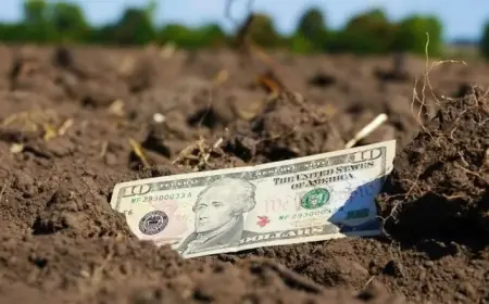 В Україні фермерам систематично відмовляють у викупі земельних ділянок постійного користування