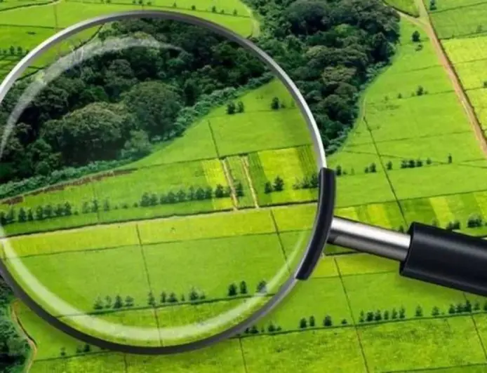 Українцям радять не зволікати із приватизацією землі, яка їм належить: чому варто поквапитись