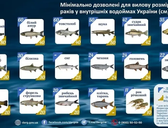 Пам’ятка для рибалок: мінімальні розміри риби та раків, дозволені до вилову