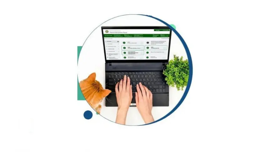 Субсидія в Україні: про які зміни необхідно повідомляти орган ПФУ