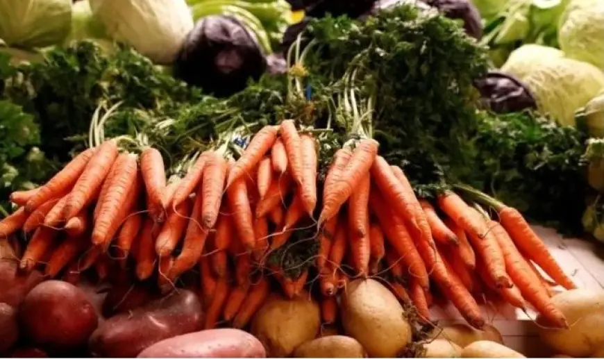 Інститут НААН запропонував модель регіональної спеціалізації овочівництва