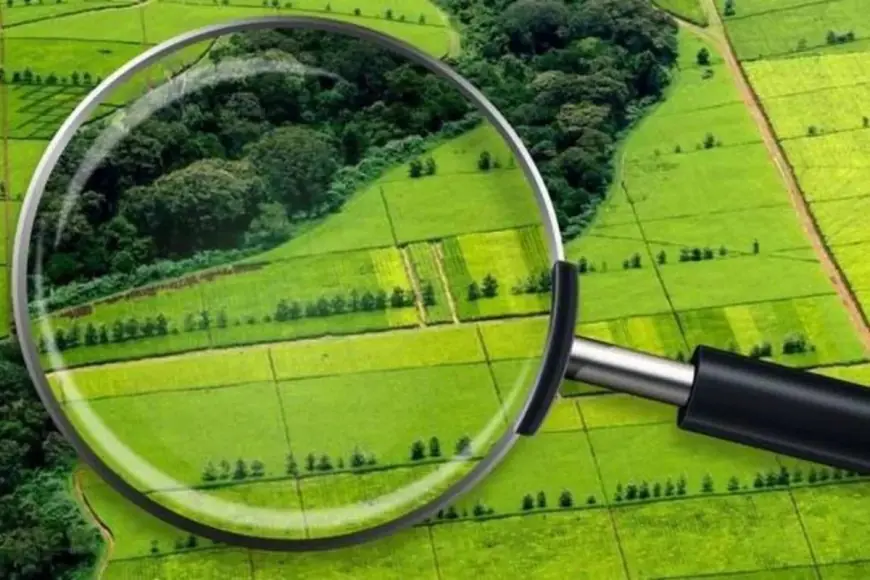 Українцям радять не зволікати із приватизацією землі, яка їм належить: чому варто поквапитись