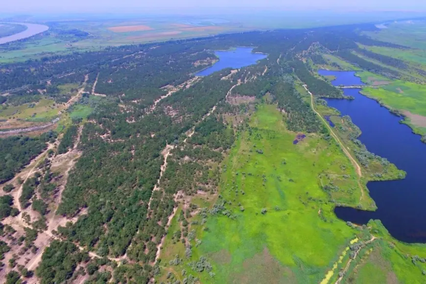 Триває відновлення природного балансу у дельті Дунаю