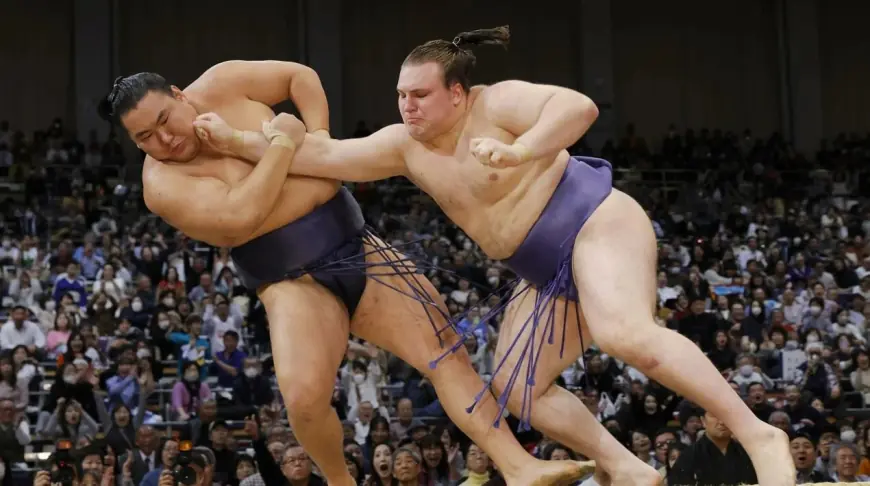 На кого рівнятися українцю Аонішікі: європейці, які завоювали світ сумо