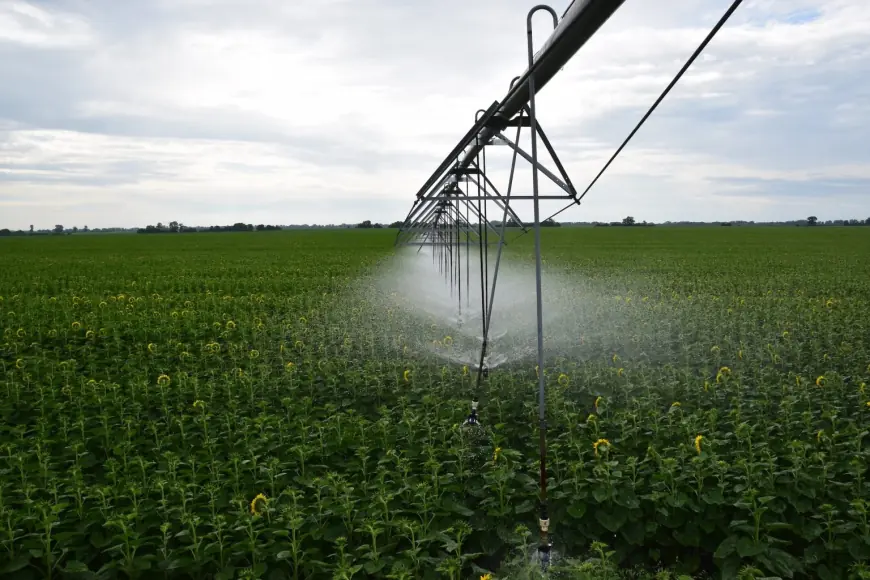 До чого готується агросектор на півдні України. З якими проблемами стикаються аграрії і чому системи зрошення — важливі