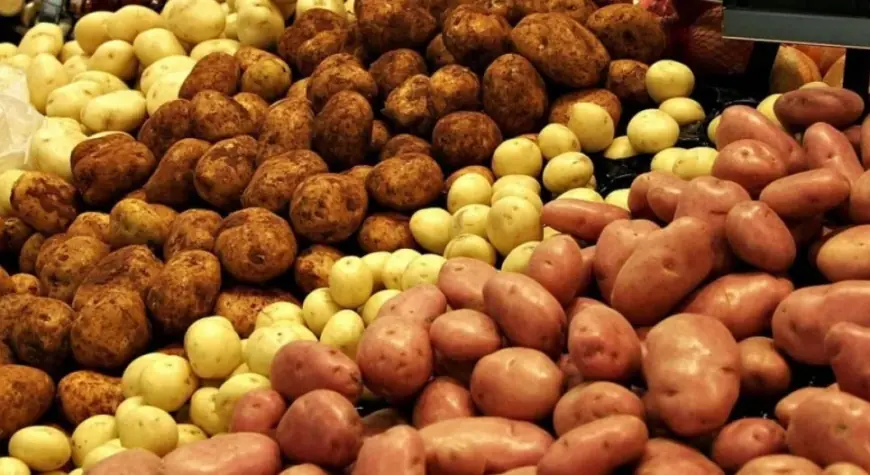 В Україні стартував прийом заявок на агрогранти-2026